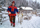 Саамский мужчина с оленями в Лапландии
