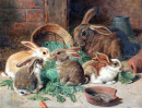Мама-крольчиха и ее крольчата