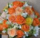 orange roses