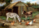 Сцена на ферме с ослами и цыплятами