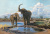 Слоны на водопое