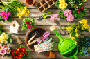 Садовые инструменты и весенние цветы