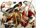 Экзотические птицы, рисунок 19 века
