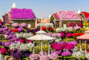 Цветочный Чудо-сад в Дубае