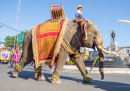 Фестиваль слонов в Сурине, Таиланд