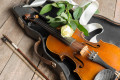 Скрипка и роза