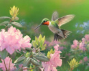 Hummingbird I