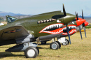 Кертисс P-40 Киттихок в Новой Зеландии