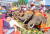 Суринский фестиваль слонов, Таиланд