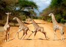 Национальный парк Восточный Цаво, Кения