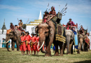 Фестиваль слонов, Сурин, Таиланд