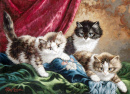 Три котёнка