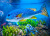 Разноцветные рыбки, плавающие в аквариуме
