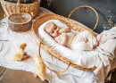 Малыш в плетеной корзине и гусята