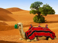 Верблюд на песчаных дюнах