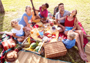 Счастливая семья веселится на пикнике