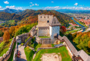Средневековый Старый замок в Словении