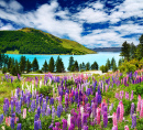 Пейзаж с озером и цветами