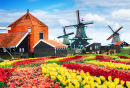 Голландские ветряные мельницы