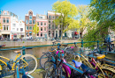 Сцена Амстердамского канала с велосипедами и мостами