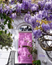 Pink door & wisteria by Elisa