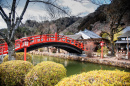 Мост в стране чудес Эдо, Япония