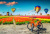 Воздушные шары над полями тюльпанов
