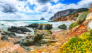 Пляж Порту Каули, Сардиния, Италия Цветы У Скал.  Расположение: Масуа