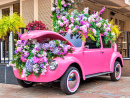 Розовый автомобиль и цветы