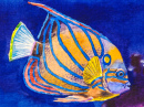 Картина океанских рыб