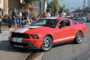 mustang2