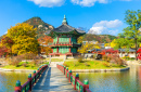 Осень во дворце Кёнбоккун, Сеул, Корея
