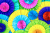 Разноцветные бумажные цветы