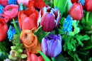 Весенний букет с ранункулюсами, тюльпанами и анемонами в ярких цветах