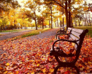 Central Park Bench