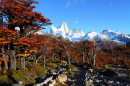 Los Glaciares National Park fall foliage