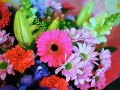 Яркие цветы