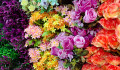 Красочные искусственные цветы