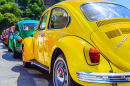 Яркие Volkswagen Beetle в Кракове, Польша