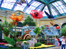 Причудливые сады отеля Bellagio, Лас-Вегас