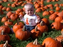 CJ in the Pumpkin Patch